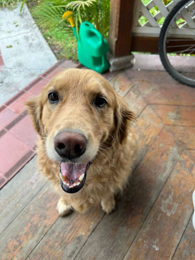 Kiara